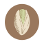 Pistachio Icon, nut,pistachio,snack