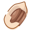 Pecan Nut Icon, nut,pecan