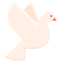 Wedding Dove Icon, dove,wedding