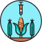 GMO Icon, GMO,genetic