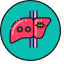 Hepatitis Icon, hepatitis,liver