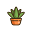 Aloe Vera Icon, Aloe Vera,plant