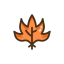 Autumn Leaves Icon, autumn leaves,leaf