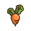 Beet Icon, beet,vegetable