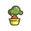 Bonsai Icon, Bonsai,plant