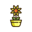 Calendula Icon, Calendula,flower