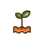 Green Sprout Icon, plant,sprout