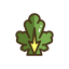 Lettuce Icon, lettuce,vegetable