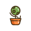 Ornamental Plant Icon, ornamental plant,plant