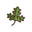 Parsley Icon, parsley,herb