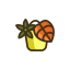 Poisenttia Icon, Poisenttia,flower