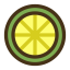 Lemon Slice Icon, lemon slice,fruit