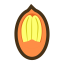 Pecan Icon, nut,pecan