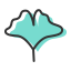 Fan - Shaped Leaf Icon, fan - shaped,leaf
