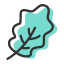 Leaf 4 Icon, leaf,lobed