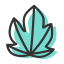 Maple Leaf Icon, leaf,maple