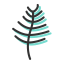 Needle - Like Leaf Icon, leaf,needle - like