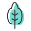 Tree 4 Icon, tree,teardrop - shaped
