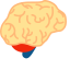 Brain Icon (Simplified) Icon, brain,nervous