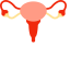 Female Reproductive System Icon, female reproductive,anatomy