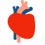 Heart Icon (Simplified) Icon, heart,circulatory