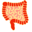 Intestines Icon, intestines,digestive
