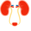 Kidneys Icon (Simplified) Icon, kidneys,excretory