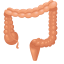Large Intestine Icon, digestive,large intestine