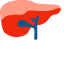 Liver Icon (Simplified) Icon, liver,digestive