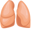 Lungs Icon, lungs,respiratory