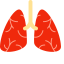 Lungs Icon (Simplified) Icon, lungs,respiratory