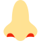 Nose Icon, nose,respiratory
