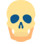 Skull Icon, skull,skeletal
