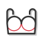Bra Icon, bra,underwear,women's wear