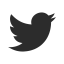 Twitter Icon, Twitter,bird,social