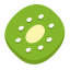 Kiwi Icon, fruit,kiwi