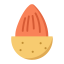Pine Nut Icon, pine nut,nut