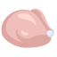 Chicken Icon, chicken,meat,poultry