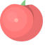 Tomato Icon, tomato,fruit,vegetable