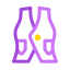 Vest Icon, vest,clothing