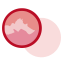 Blush Icon, blush,cheek,makeup