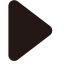 Large Play Button Icon, button,large,play