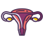 Female Reproductive Icon, female reproductive,gynecology,reproductive