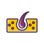 Hair Icon, care,dermatology,hair