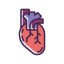 Heart Icon, heart,cardiology,organ