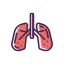 Lungs Icon, lungs,pulmonology,respiratory