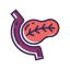 Pancreas Icon, endocrinology,organ,pancreas