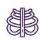 Ribs Icon, bone,ribs,thoracic
