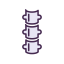 Spine Icon, bone,orthopedics,spine