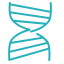 DNA Icon, DNA,genetics,biology